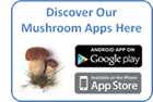 discover our mushroom apps