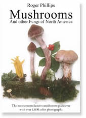 Mushrooms & Other Funghi of North America
