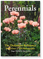 Perennials Volume II