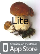 Wild Mushrooms of North America and Europe iPhone app lite