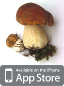 Wild Mushrooms of North America and Europe iPhone app pro